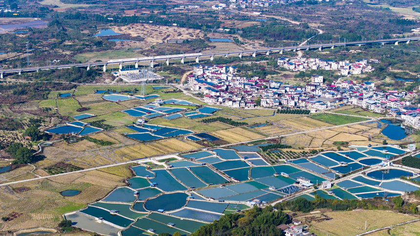 南豐縣洽灣鎮西坪村，連片的養殖塘與大棚、田園、村庄相互映襯，構成一幅和美鄉村畫卷。謝東攝