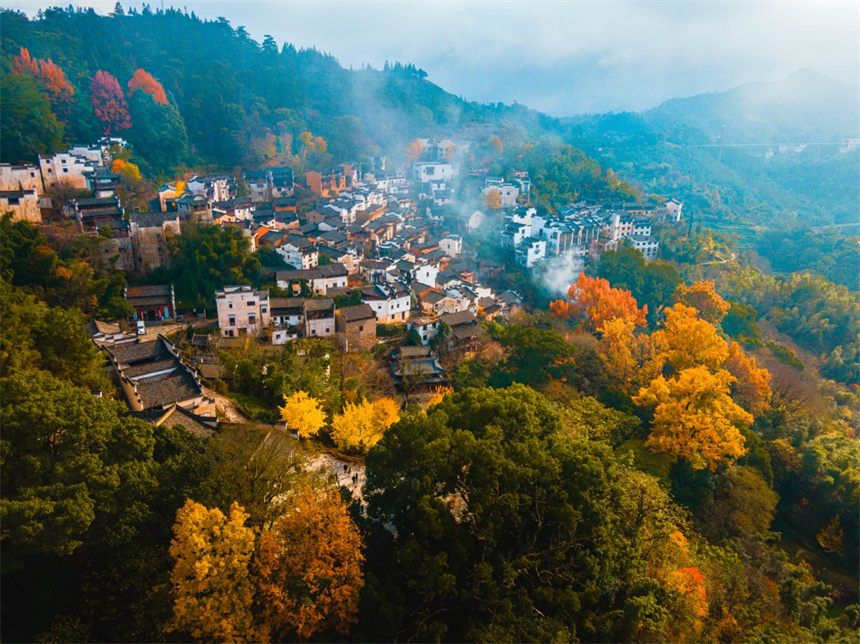 篁岭景区枫叶渐次泛红。程红摄