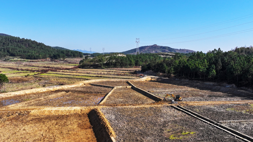 吉水縣雙鎮曲嶺村，施工人員正駕駛機械建設高標准農田。廖敏攝