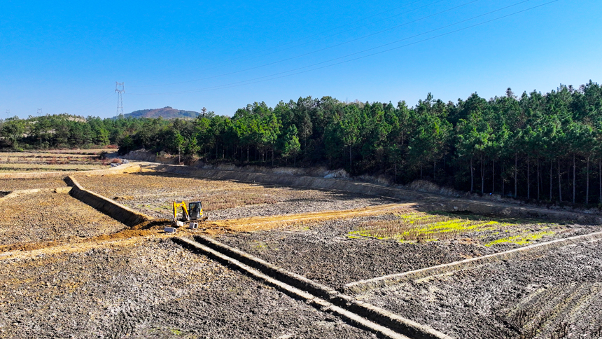 吉水縣雙鎮曲嶺村，施工人員正駕駛機械建設高標准農田。廖敏攝