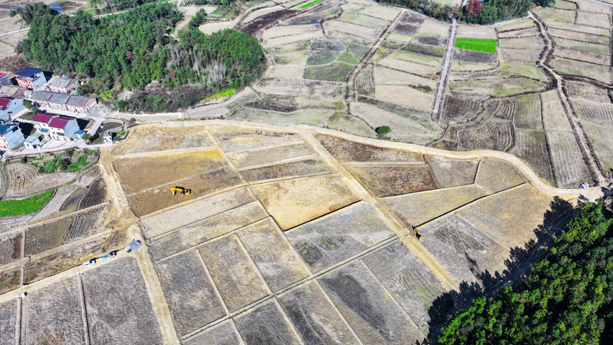 吉水縣雙鎮曲嶺村，施工人員正駕駛機械建設高標准農田。廖敏攝