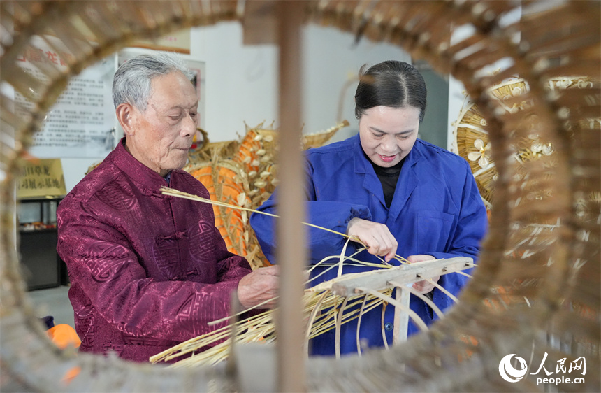 国家级非遗项目湖口草龙（草编）代表性传承人喻芳泽正在与女儿合作编织草龙。人民网 孔文进摄