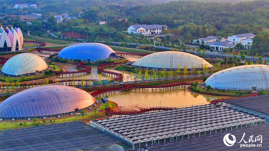 撫州市廣昌縣現代農業示范園田園綜合體，錯落有致的溫室大棚與村庄、山巒相映成景。人民網 朱海鵬攝