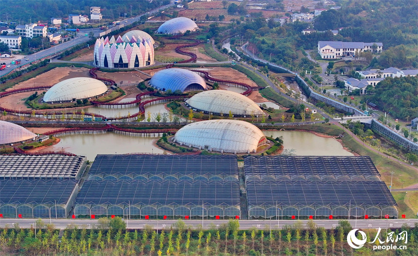 撫州市廣昌縣現代農業示范園田園綜合體，錯落有致的溫室大棚與村庄、山巒相映成景。人民網 朱海鵬攝