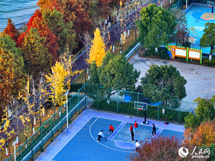 吉安市吉水縣贛江沿岸的一處“口袋公園”，許多市民在打籃球，色彩斑斕的樹木與籃球場、健身步道、碧綠江水相映襯。人民網 朱海鵬攝