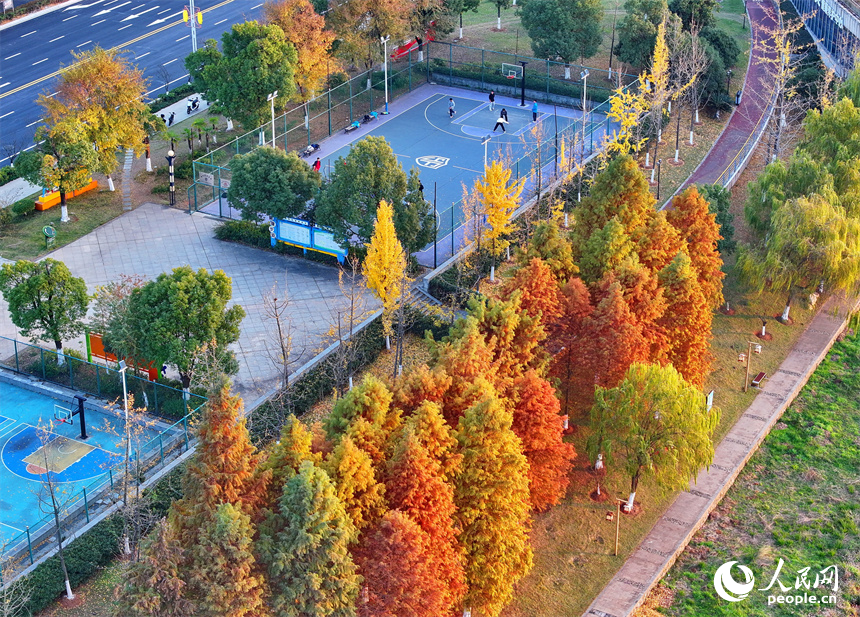 吉安市吉水縣贛江沿岸的一處“口袋公園”，許多市民在打籃球，色彩斑斕的樹木與籃球場、健身步道、碧綠江水相映襯。人民網 朱海鵬攝