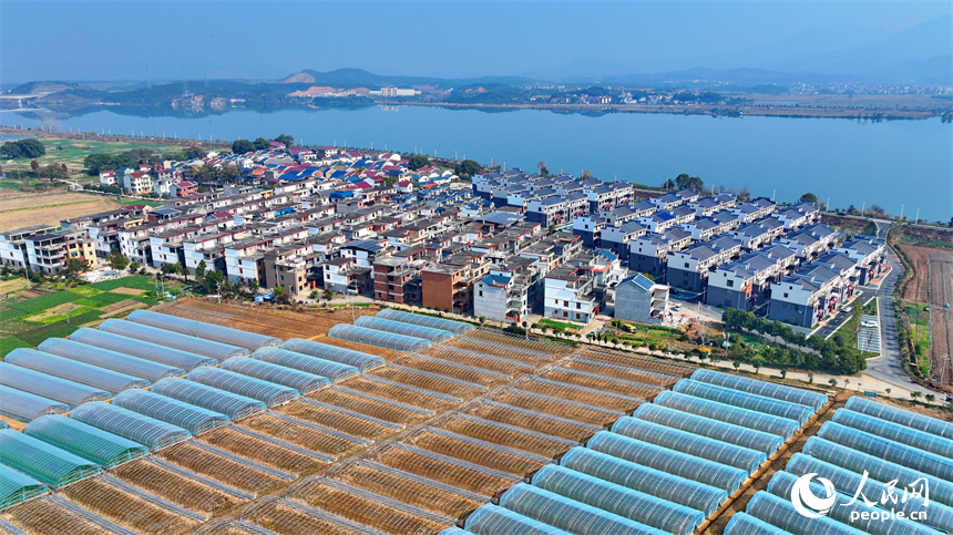 吉水县金滩镇赣江沿岸一带，车辆往来穿梭，通村公路旁的农房鳞次栉比，与绿树、田垄、碧水相映成景。人民网 朱海鹏摄