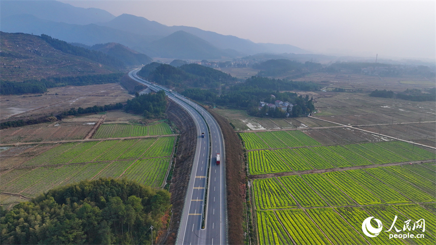 吉安市吉水縣不少鄉村盛開的油菜花與房屋、青山相映成景，構成一幅生機盎然的春日田園畫卷，吸引游客前來賞花游玩。人民網 朱海鵬攝