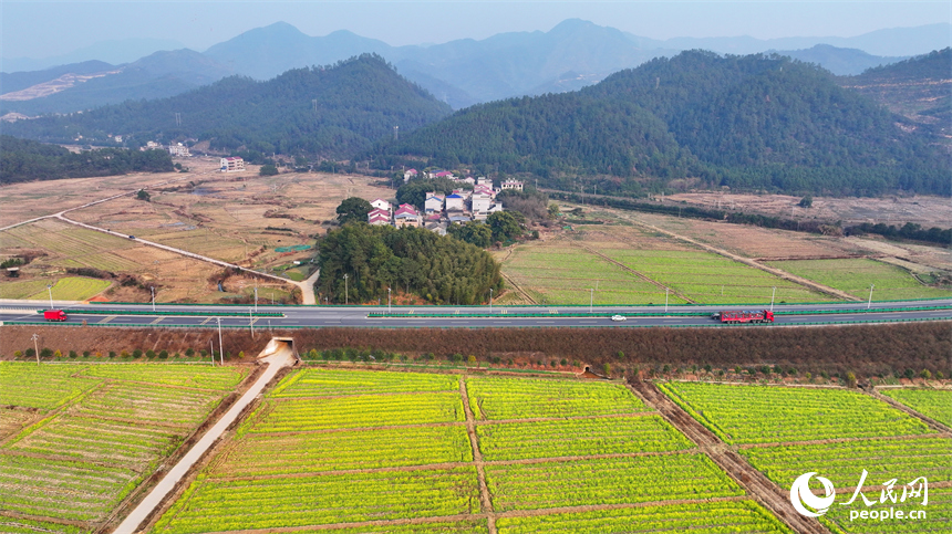 吉安市吉水縣不少鄉村盛開的油菜花與房屋、青山相映成景，構成一幅生機盎然的春日田園畫卷，吸引游客前來賞花游玩。人民網 朱海鵬攝