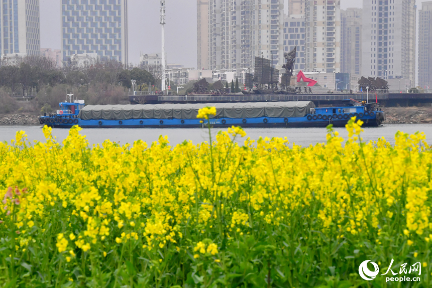 盛开的油菜花与城市美景相融。人民网记者 时雨摄