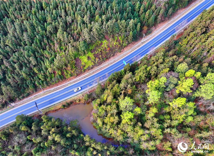 宜春市宜豐縣的“四好農村路”，車輛往來穿行，綠樹青山與蜿蜒公路相映成景。人民網 朱海鵬攝