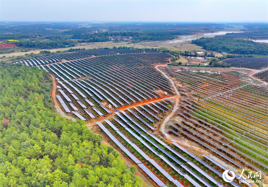 樟樹市劉公廟鎮橫塘村光伏基地，成片的光伏發電板依次排列。人民網 朱海鵬攝