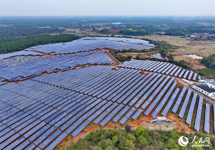 樟樹市劉公廟鎮橫塘村光伏基地，成片的光伏發電板依次排列。人民網 朱海鵬攝