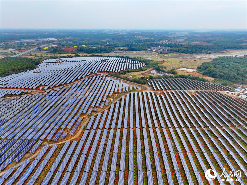 樟樹市劉公廟鎮橫塘村光伏基地，成片的光伏發電板依次排列。人民網 朱海鵬攝