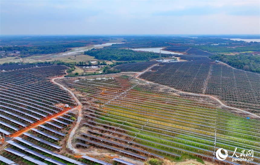 樟樹市劉公廟鎮橫塘村光伏基地，成片的光伏發電板依次排列。人民網 朱海鵬攝