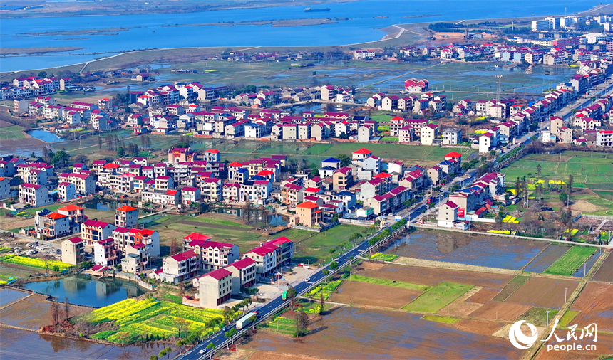 豐城市拖船鎮塘山村，農房、公路、田園、河流相映成景，構成一幅色彩斑斕的早春鄉村畫卷。人民網 朱海鵬攝