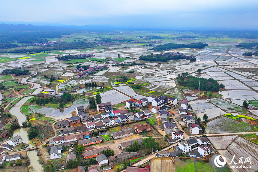 抚州市崇仁县六家桥乡艾坊村，春雨浸润后的高标准农田阡陌纵横、路通渠连，与群山、河流、村庄相映成景。人民网 朱海鹏摄