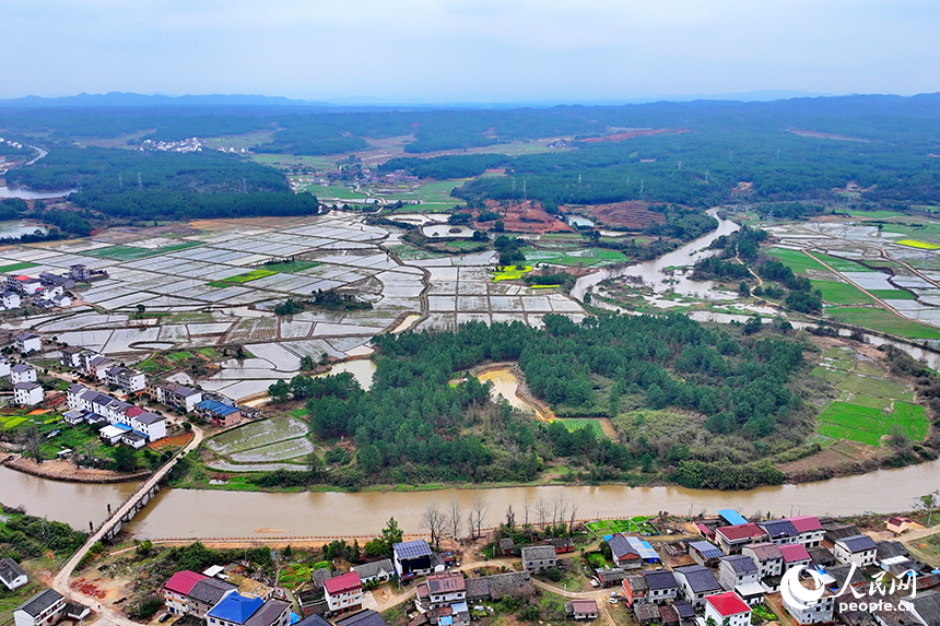 抚州市崇仁县六家桥乡艾坊村，春雨浸润后的高标准农田阡陌纵横、路通渠连，与群山、河流、村庄相映成景。人民网 朱海鹏摄