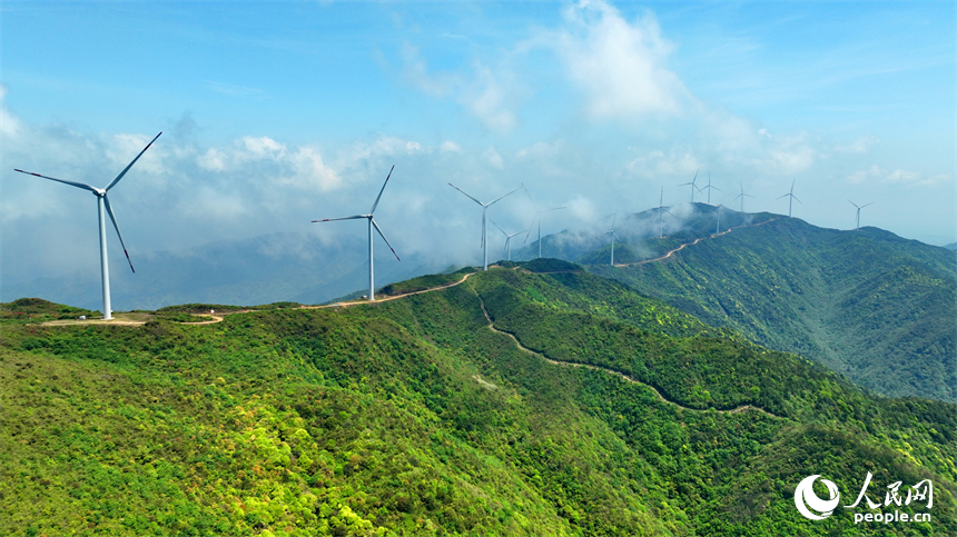 贛州市石城縣八卦腦景區，迎風旋轉的風力發電機與杜鵑花、雲海、群山交相輝映。人民網 朱海鵬攝