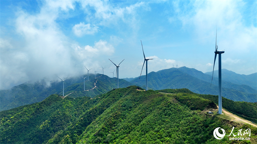 赣州市石城县八卦脑景区，迎风旋转的风力发电机与杜鹃花、云海、群山交相辉映。人民网 朱海鹏摄
