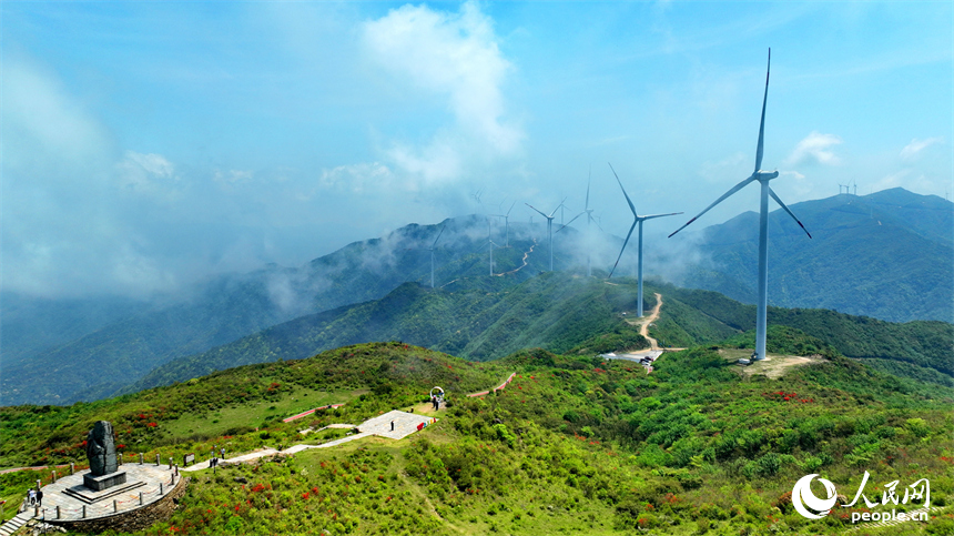 赣州市石城县八卦脑景区，迎风旋转的风力发电机与杜鹃花、云海、群山交相辉映。人民网 朱海鹏摄