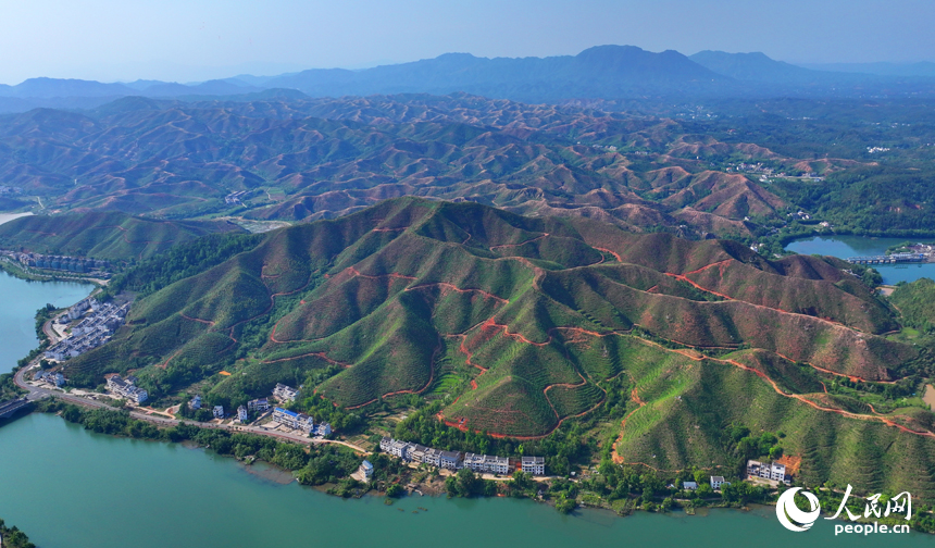赣州市上犹县东山镇，车辆在环湖公路行驶，沿线水清岸绿景美春意浓。人民网 朱海鹏摄