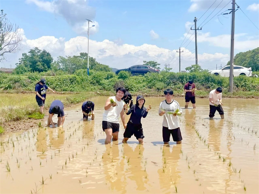 同學們在田間勞動