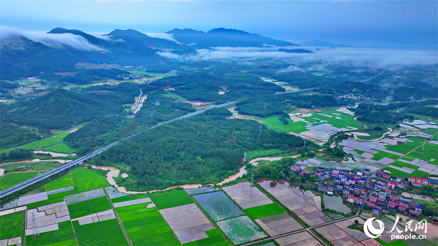 吉安市吉水縣文峰鎮葛山村，山巒起伏、水潤田疇、雲霧繚繞，構成一幅初夏美麗鄉村田園圖景。人民網 朱海鵬攝