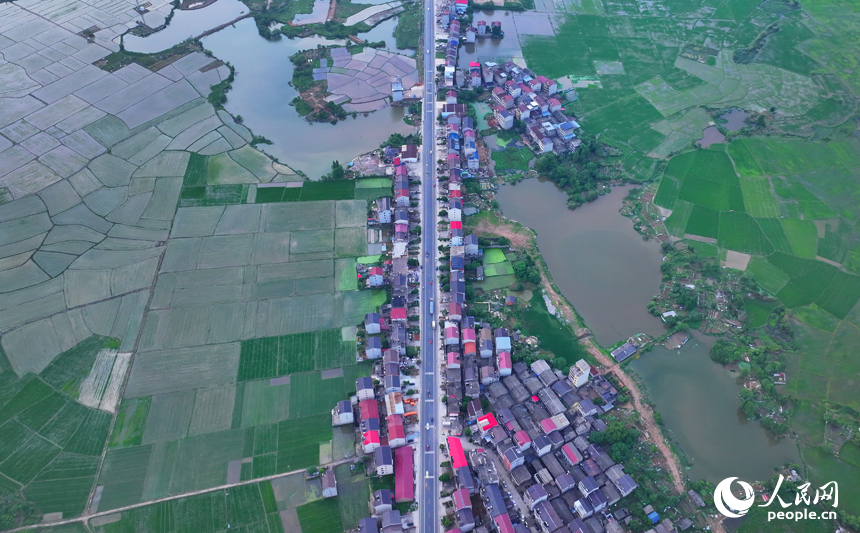豐城市劍南街道荷塘村，車輛往來疾馳，鄉村公路與周邊連片的農田、房屋、養殖基地相映成景。人民網 朱海鵬攝