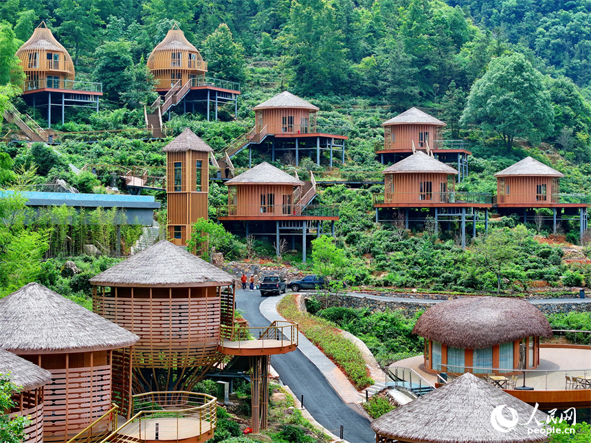 赣州市上犹县梅水乡园村村的一处露营基地，一栋栋民宿小木屋与青山、竹林、茶园相映衬。人民网 朱海鹏摄