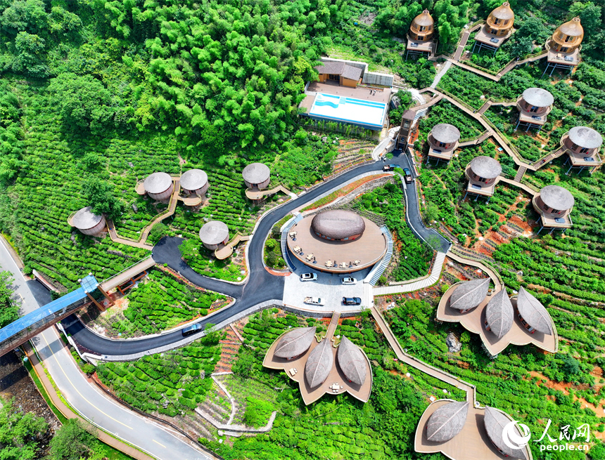 贛州市上猶縣梅水鄉園村村的一處露營基地，一棟棟民宿小木屋與青山、竹林、茶園相映襯。人民網 朱海鵬攝