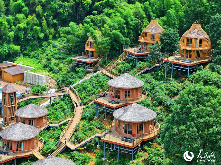 贛州市上猶縣梅水鄉園村村的一處露營基地，一棟棟民宿小木屋與青山、竹林、茶園相映襯。人民網 朱海鵬攝