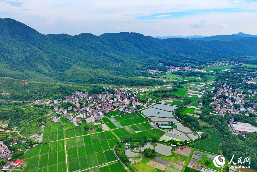 贛州市南康區龍回鎮龍東村，車輛在大廣高速公路上往來馳騁，沿線鄉村田園夏日美景怡人。人民網 朱海鵬攝