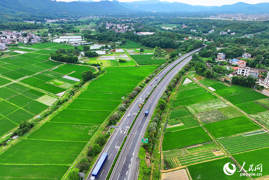 贛州市南康區龍回鎮龍東村，車輛在大廣高速公路上往來馳騁，沿線鄉村田園夏日美景怡人。人民網 朱海鵬攝