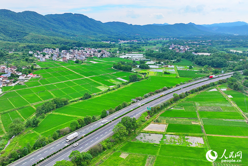 贛州市南康區龍回鎮龍東村，車輛在大廣高速公路上往來馳騁，沿線鄉村田園夏日美景怡人。人民網 朱海鵬攝
