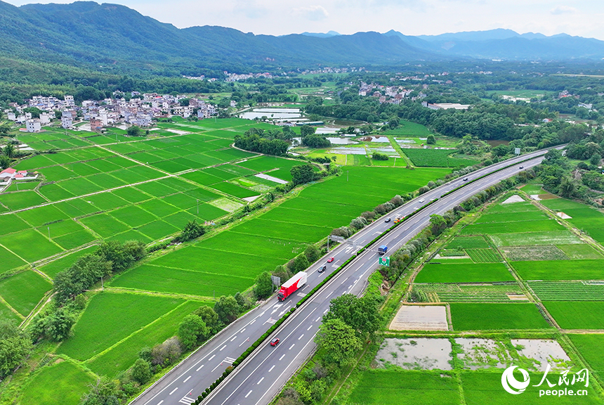贛州市南康區龍回鎮龍東村，車輛在大廣高速公路上往來馳騁，沿線鄉村田園夏日美景怡人。人民網 朱海鵬攝
