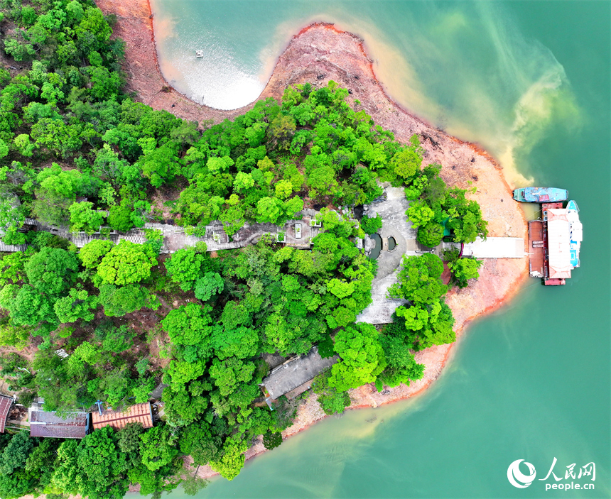 赣州市崇义县阳明湖国家湿地公园内的赣南树木园，林木葱郁，水源充沛，风光旖旎。人民网 朱海鹏摄