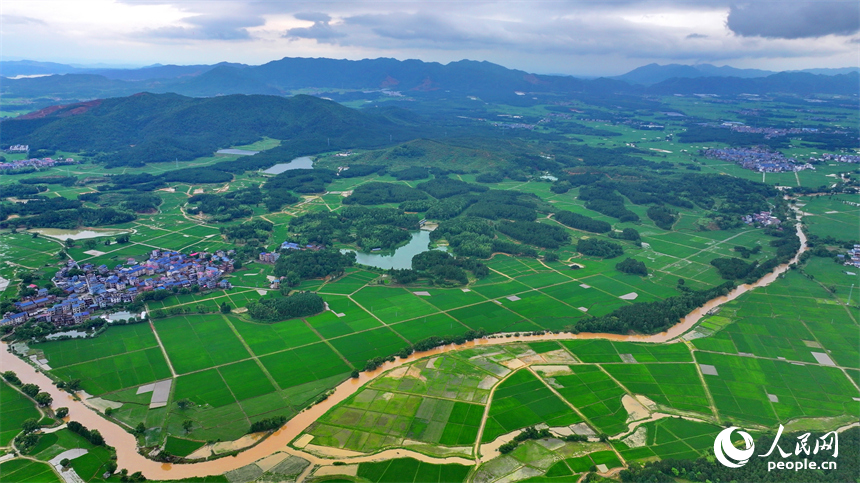 吉安市吉水县醪桥镇一带，高标准农田里的早稻郁郁葱葱，与青山、河流、树林、民房相映成景。人民网 朱海鹏摄