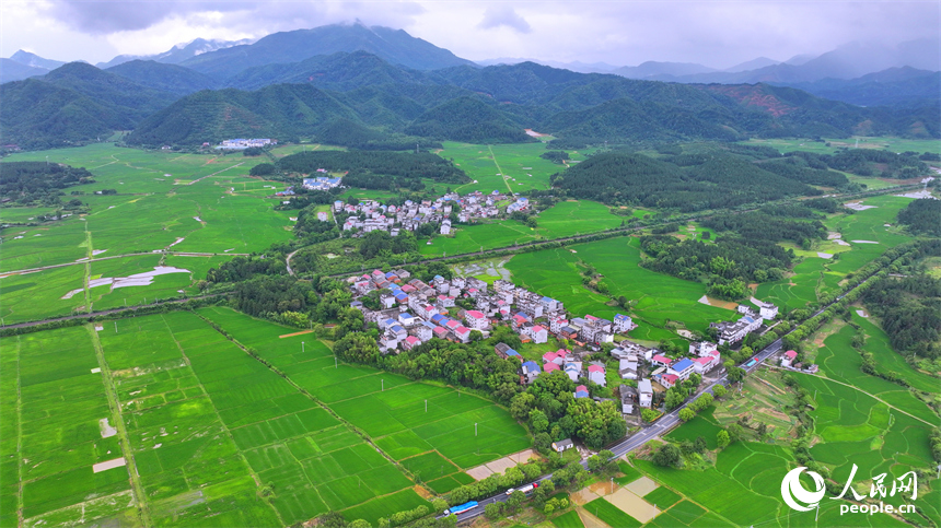 吉安市吉水县醪桥镇一带，高标准农田里的早稻郁郁葱葱，与青山、河流、树林、民房相映成景。人民网 朱海鹏摄
