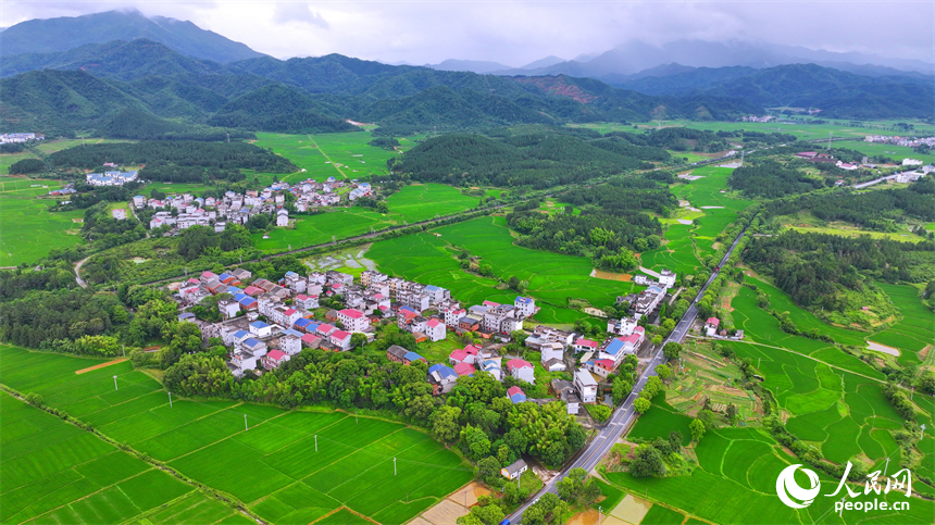 吉安市吉水县醪桥镇一带，高标准农田里的早稻郁郁葱葱，与青山、河流、树林、民房相映成景。人民网 朱海鹏摄