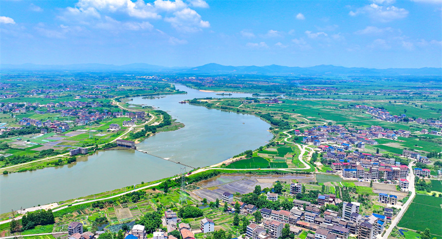 2025年6月4日，在江西省抚州市临川区上顿渡镇周家村，水量充沛的河流与农田、民居相映成趣。郭昊摄