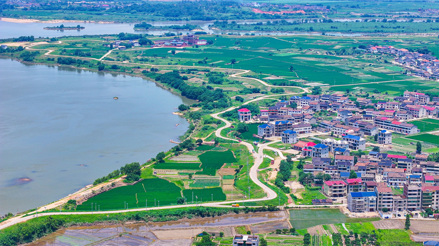 2025年6月4日，在江西省抚州市临川区上顿渡镇周家村，水量充沛的河流与农田、民居相映成趣。郭昊摄