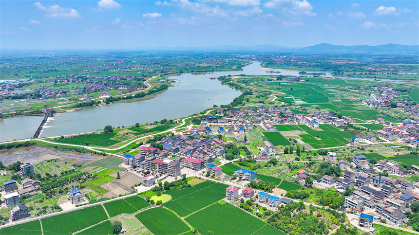 2025年6月4日，在江西省抚州市临川区上顿渡镇周家村，水量充沛的河流与农田、民居相映成趣。郭昊摄