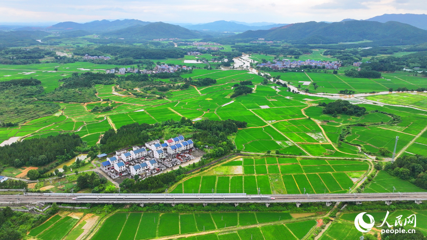 吉安市吉水縣醪橋鎮日崗村，昌贛高鐵列車穿行而過。人民網 朱海鵬攝