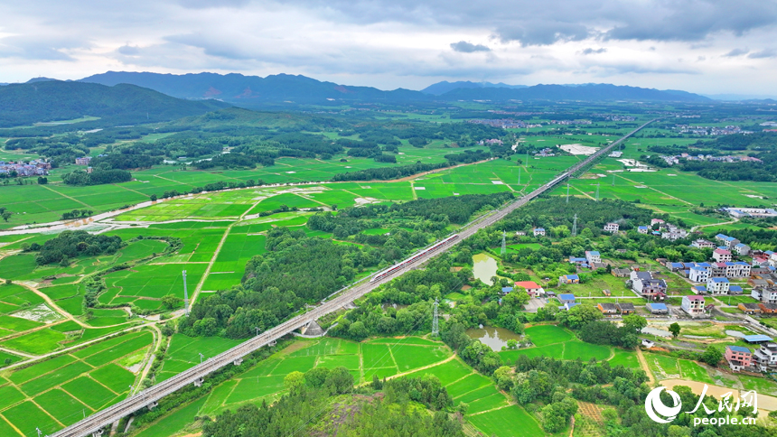 吉安市吉水縣醪橋鎮日崗村，昌贛高鐵列車穿行而過。人民網 朱海鵬攝