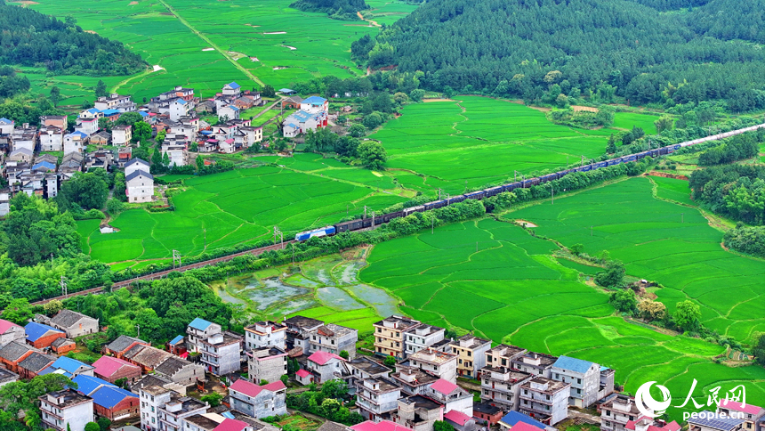 吉安市吉水縣醪橋鎮日崗村，京九鐵路貨運列車穿行而過。人民網 朱海鵬攝