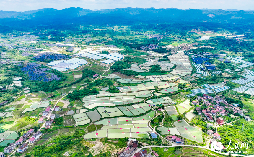撫州市南豐縣萊溪鄉農光互補生態養殖基地，色彩斑斕的甲魚塘如同大地調色盤。人民網 朱海鵬攝