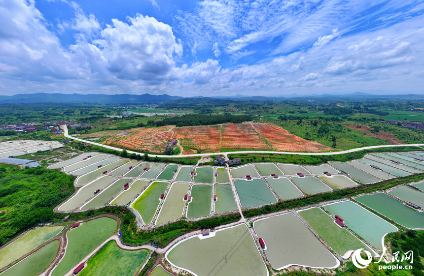 撫州市南豐縣萊溪鄉農光互補生態養殖基地，色彩斑斕的甲魚塘如同大地調色盤。人民網 朱海鵬攝