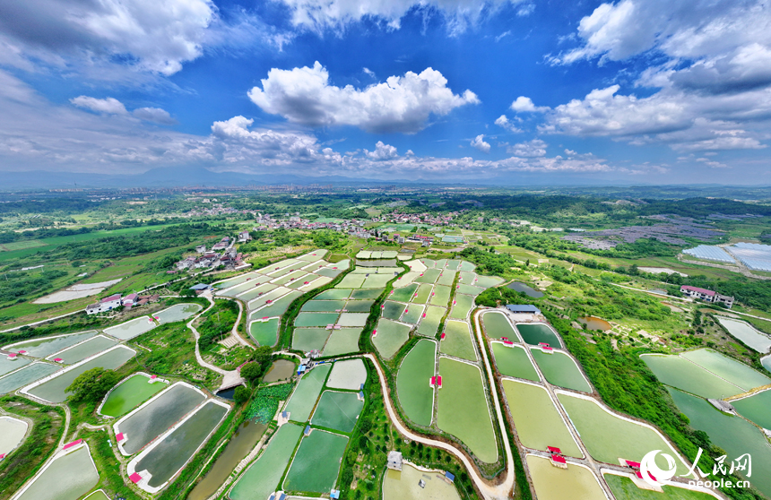 撫州市南豐縣萊溪鄉農光互補生態養殖基地，色彩斑斕的甲魚塘如同大地調色盤。人民網 朱海鵬攝