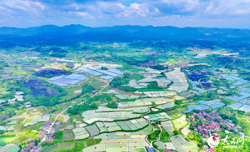 撫州市南豐縣萊溪鄉農光互補生態養殖基地，色彩斑斕的甲魚塘如同大地調色盤。人民網 朱海鵬攝